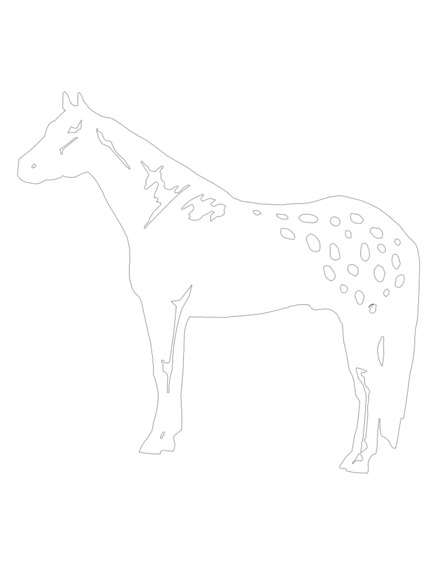 Horse Kid Coloring Pdf Free Vectors